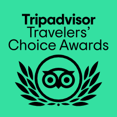 Tripadvisor Travellers Choice Award logo